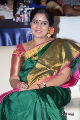 Ammammagarillu Movie Successmeet